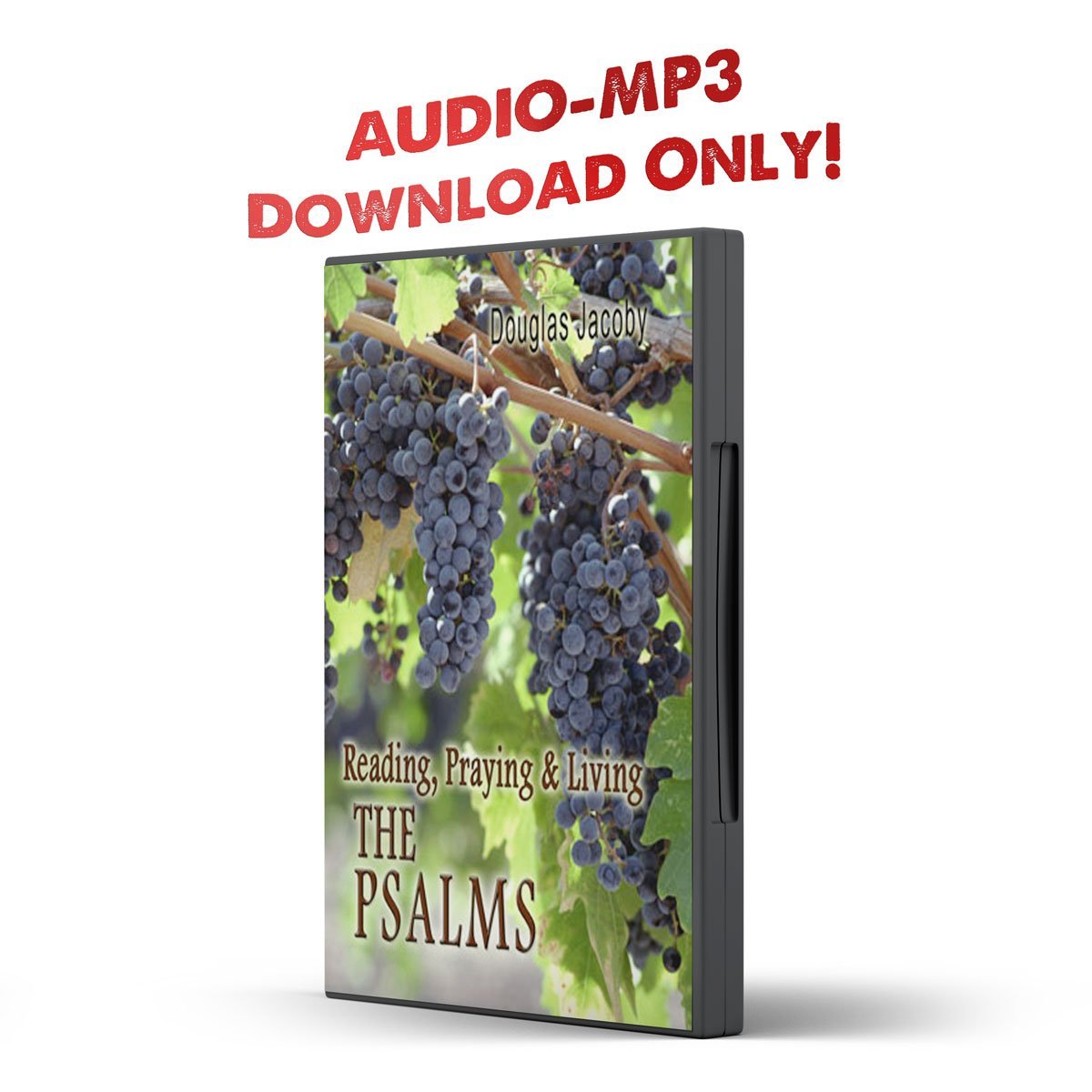 Reading, Praying and Living the Psalms - Illumination Publishers